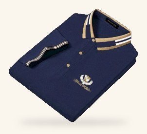 Embroidered navy polo shirt