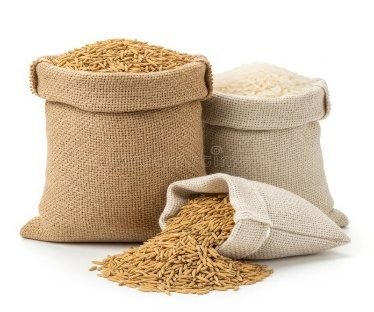 Jute bags of rice