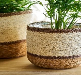 Jute plant basket