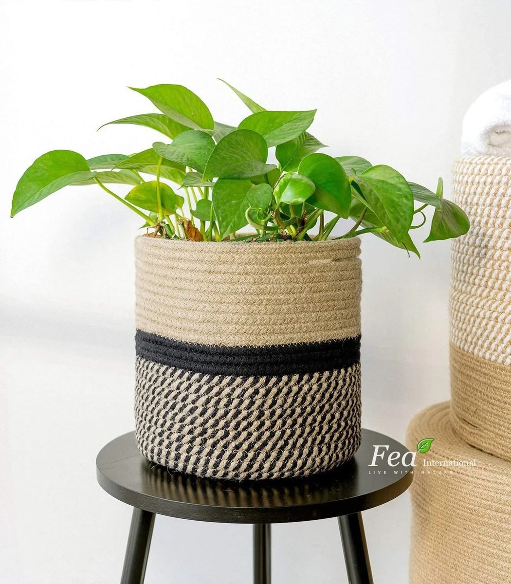 Jute plant basket with plant